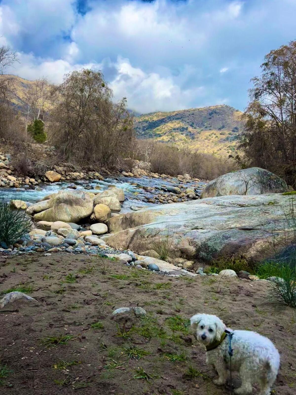 3B Hot Tub, 4Mi From Sequoia, Arcade Games, Foosball Three Rivers Dış mekan fotoğraf